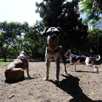  PORTO ALEGRE,RS,BRASIL.2020,02,22.Cachorródromo da Praça Brigadeiro Sampaio, no Centro Histórico. Perto da Rua dos Andradas, Moradores do entorno da praça estão protagonizando uma guerra por causa do cachorródromo: alguns reclamam que há algazarras e latidos à noite, e pediram à prefeitura que mude o cachorródromo de lugar. Frequentadores do local discordam, e afirmam ter sofrido retaliaçãoes como rasgos na tela para cachorros fugirem (prefeitura já consertou).(RONALDO BERNARDI/AGENCIA RBS).<!-- NICAID(14428385) -->