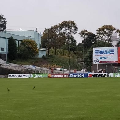 As fortes chuvas que atingiram algumas cidades da Serra na tarde desta terça-feira (25) fizeram o muro do Estádio Antônio David Farina, em Veranópolis, desabar. Conforme o Corpo de Bombeiros do município, o incidente ocorreu às 15h45min. <!-- NICAID(14431557) -->