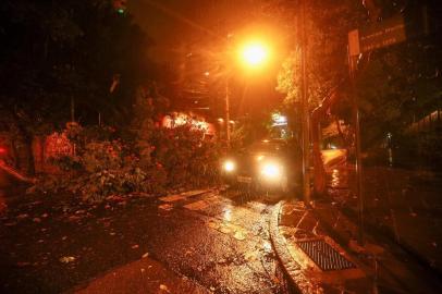  ** EM BAIXA ** PORTO ALEGRE, RS, BRASIL - 26.02.2020 - Queda de árvore em Porto Alegre (Foto: Isadora Neumann/Agencia RBS)<!-- NICAID(14431692) -->