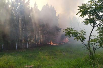 Incêndio atinge Morro Santa Tereza<!-- NICAID(14437540) -->