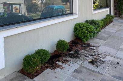 furto de plantas no bela vista<!-- NICAID(14438482) -->