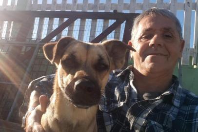  Tutor reconhece cadela que foi resgatada de casa onde cães mortos eram mantidos em freezer em ImbéDepois de ser resgatada de uma casa em Imbé, durante uma operação da Polícia Civil, a história da cachorrinha Princesa ainda teria mais uma reviravolta. Com a repercussão da história, a vira-lata que lembra um Pastor Alemão foi reconhecida pelo antigos tutores e agora está de volta a casa onde vivia, em Tramandaí.<!-- NICAID(14439176) -->