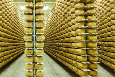 Câmara onde ficam as formas do queijo tipo Grana Gran Formaggio, carro-chefe da marca RAR<!-- NICAID(14443065) -->