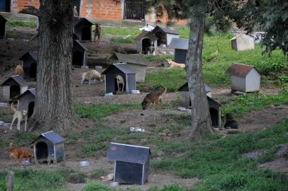  CAXIAS DO SUL, RS, BRASIL, 03/03/2020 Vencedora da licitação para construção do Centro de Bem-Estar Animal foi homologada, mas contrato ainda não foi assinado para dar início à obra.(Lucas Amorelli/Agência RBS)<!-- NICAID(14438385) -->