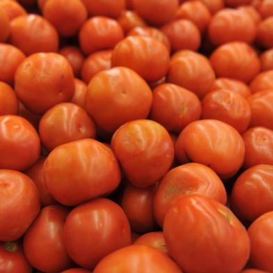  No Índice do Custo de Vida de Santa Maria, o aumento do preço do tomate foi o que mais pesou na inflação da cidade.<!-- NICAID(8489858) -->