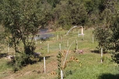 A falta de chuva que castiga o Rio Grande do Sul traz a necessidade de implementação de novas alternativas para que a água potável chegue às torneiras dos consumidores. Por conta disso, os municípios de Veranópolis e Vila Flores, ambos na Serra, têm fornecimento garantido, apesar de a população ser convidada a economizar.<!-- NICAID(14475708) -->