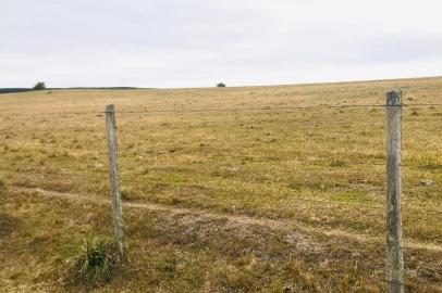 Pasto seco em propriedade de São Gabriel, na Fronteira.<!-- NICAID(14477652) -->