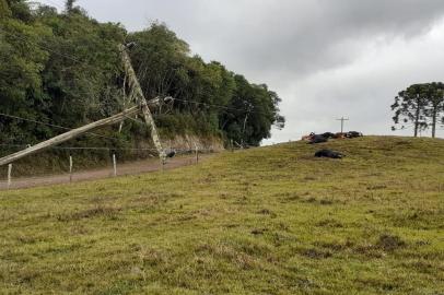 Moradores da localidade de Capela São Caetano, na Linha Guerra em Antônio Prado, esperam não ter mais que se deparar com a situação registrada nesta semana: cerca de dez animais, entre bois e vacas, foram encontrados mortos em uma propriedade rural. O motivo foi a inclinação de um poste elétrico instalado na estrada de chão próxima ao campo onde viviam.<!-- NICAID(14478620) -->