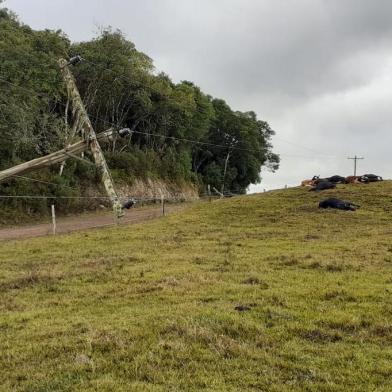 Moradores da localidade de Capela São Caetano, na Linha Guerra em Antônio Prado, esperam não ter mais que se deparar com a situação registrada nesta semana: cerca de dez animais, entre bois e vacas, foram encontrados mortos em uma propriedade rural. O motivo foi a inclinação de um poste elétrico instalado na estrada de chão próxima ao campo onde viviam.<!-- NICAID(14478620) -->