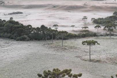 GEADA E FRIO SERRAS CATARINENSES SÃO JOAQUIM,SC,16.04.2020:GEADA-E-FRIO-SERRAS-CATARINENSES - Geada e frio nas serras catarinenses, na cidade de São Joaquim, Santa Catarina, SC, nesta quinta feira, 16. (Foto: Wagner Urbano OnJack/Futura Press/Folhapress)<!-- NICAID(14478596) -->