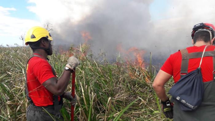 Bombeiros / Divulgação