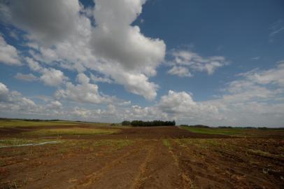  CAXIAS DO SUL, RS, BRASIL, 31/03/2020O sr. Agostinho, agricultor no distrito de Vila Oliva, teve suas plantações de tomate, beterraba e cenoura afetadas pela falta de chuva. (Lucas Amorelli/Agência RBS)<!-- NICAID(14465600) -->