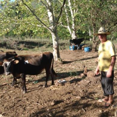 Estiagem se agrava no interior de Caxias do Sul. Falta água para beber. Antônio Rauber, 56 anos, é um dos agricultores que sente efeitos da estiagem.<!-- NICAID(14485023) -->