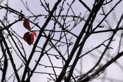  CAXIAS DO SUL, RS, BRASIL, 11/05/2019 - Fotos de clima. (Marcelo Casagrande/Agência RBS)<!-- NICAID(14074810) -->