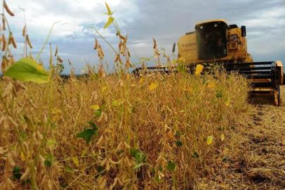 Com o predomínio do tempo seco em todo o RS, a colheita da soja atingiu 91% da área cultivada nesta safra.<!-- NICAID(14487485) -->