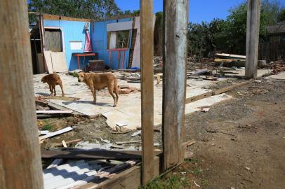  PORTO ALEGRE, RS, BRASIL, 03/09/2019- Após remoção de moradores da Ilha dos Marinheiros, centenas de cães (segundo relatos) ficaram abandonados na região. (FOTOGRAFO: TADEU VILANI / AGENCIA RBS)<!-- NICAID(14233256) -->