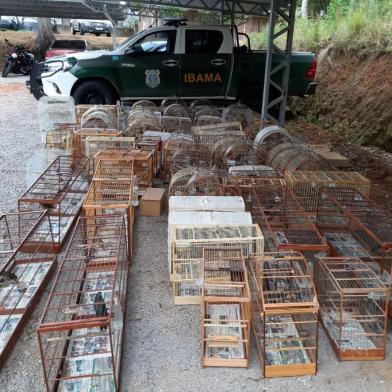 A Polícia Civil de Garibaldi apreendeu animais, armas e munição em ação em parceria com o Ibama.<!-- NICAID(14492909) -->