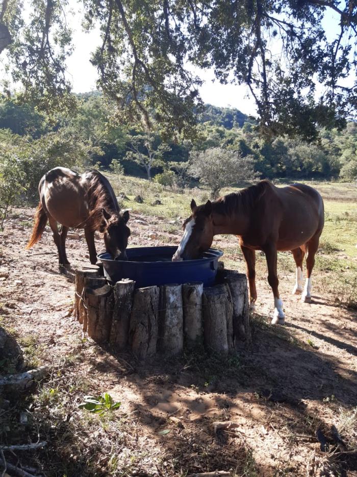 IABEA / Divulgação