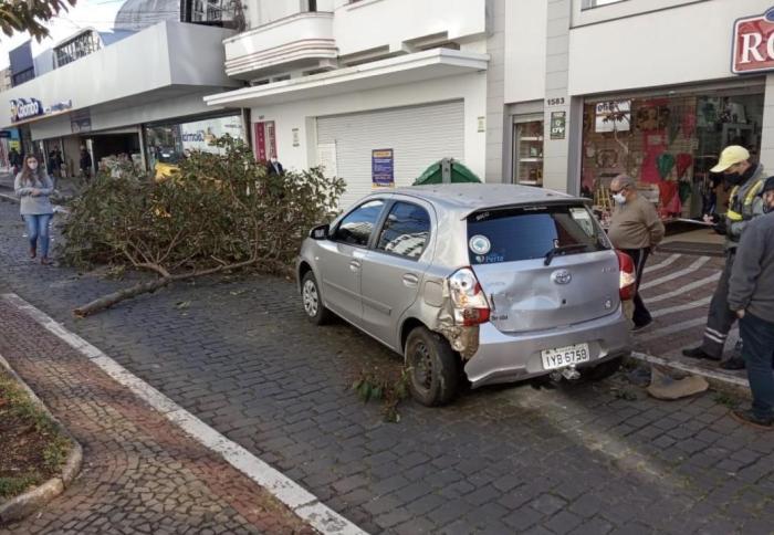 Soli Lemos / Agência RBS