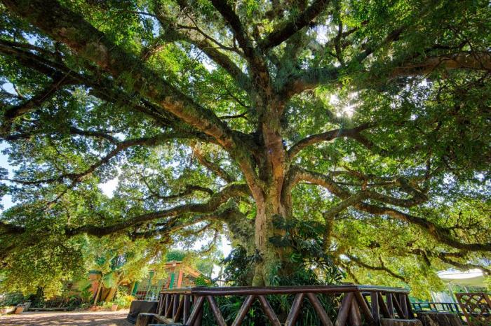 6º ano realiza passeio de estudos na Quinta da Estância em Viamão