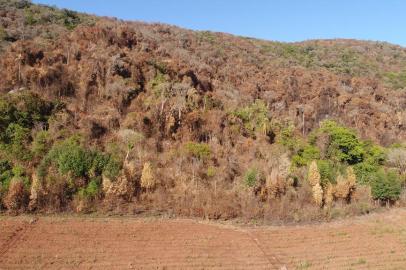  Uma equipe composta por bombeiros de três cidades combatem um incêndio de grandes proporções em uma região de mata fechada em Agudo, na região central do Estado. Já foram queimados mais de 150 hectares e, segundo as autoridades, é possível que o fogo ainda possa atingir o dobro do tamanho da área até ser controlado. <!-- NICAID(14506087) -->