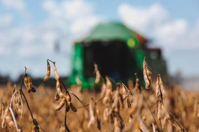  Victor Graeff, RS, BRASIL, 05/04/2018 : Campo e Lavoura - Colheita da Soja - Região Norte. (Omar Freitas/Agência RBS)Indexador: Omar Freitas<!-- NICAID(13497210) -->