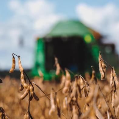  Victor Graeff, RS, BRASIL, 05/04/2018 : Campo e Lavoura - Colheita da Soja - Região Norte. (Omar Freitas/Agência RBS)Indexador: Omar Freitas<!-- NICAID(13497210) -->