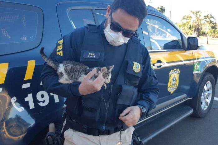 Polícia Rodoviária Federal / Divulgação