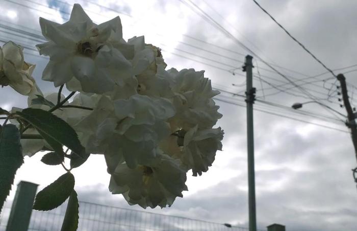 Previsão do tempo para Erechim (RS): Veja temperaturas do dia