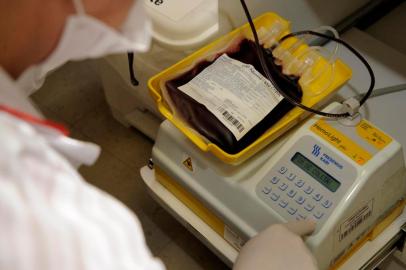  CAXIAS DO SUL, RS, BRASIL, 24/11/2016 -  Para marcar o dia de doação de sangue, grupode torcedoras da dupla Ca - Ju promove ação para coleta de sangue. Ação ocorreu no Hemovita. (Marcelo Casagrande/Agencia RBS)<!-- NICAID(12583505) -->