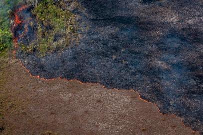 incêndios na Amazônia<!-- NICAID(14516527) -->