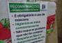 Feiras orgânicas de Porto Alegre fazem apelo: ainda é hora de segurar o passeio