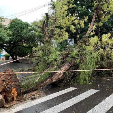 Queda de árvore na Rua Eça de Queiroz na esquina com a Ferreira Viana, no bairro Petrópolis, em Porto Alegre<!-- NICAID(14521727) -->