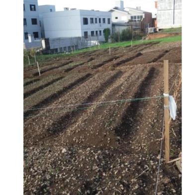 Horta comunitária foi construída no bairro Cruzeiro, em Caxias do Sul, pela comunidade. <!-- NICAID(14523520) -->