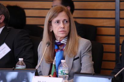 Board of Directors' Meeting. Washington, DCClaudia Costin, Senior Director, Education, World Bank.Meeting of the Board of Directors of the Global Partnership for Education. Washington, DC. 15-16 December 2014Credit: GPE/Chantal Rigaud