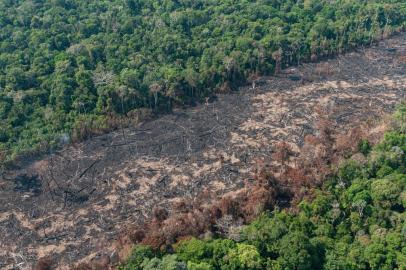 incêndios na Amazônia<!-- NICAID(14516528) -->