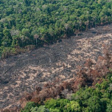 incêndios na Amazônia<!-- NICAID(14516528) -->