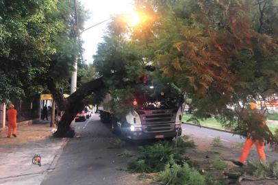  ****EM BAIXA****PORTO ALEGRE, RS, BRASIL, 25/06/2020-Caminhão bate em árvore e fica preso na avenida Ipiranga, em Porto AlegreVeículo saiu de Bento Gonçalves e ia para o bairro Humaitá.    Foto: Tiago Bitencourt / Agencia RBS<!-- NICAID(14530693) -->