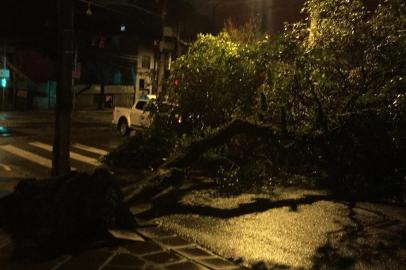 Porto Alegre amanhece com árvores caídas e pontos sem luz após temporal