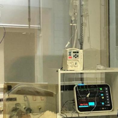 Um paciente de 61 de Caxias do Sul é o nono a receber transfusão de plasma convalescente e o segundo desta semana. O procedimento, que funciona em caráter experimental para tratamento da covid-19, ocorreu na madrugada desta quarta-feira (1) no Hospital Virvi Ramos. O infectado tem histórico de doença cardiovascular e foi internado na última sexta-feira (26). Ele precisou ser transferido para a Unidade de Tratamento Intensivo (UTI) na segunda-feira (29).<!-- NICAID(14535239) -->