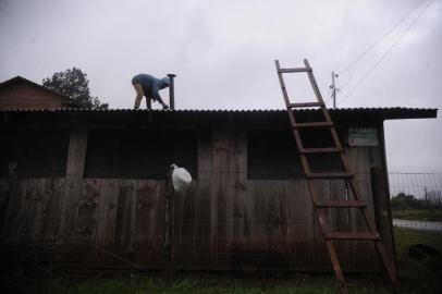  VACARIA, RS, BRASIL, 30/06/2020 - Ventos de 90 Km por hora causa destruição em Vacaria e Muitos Capões. Queda de árvores, destelhamento de casas, e árvores que caíram em residências. (Marcelo Casagrande/Agência RBS)<!-- NICAID(14535504) -->