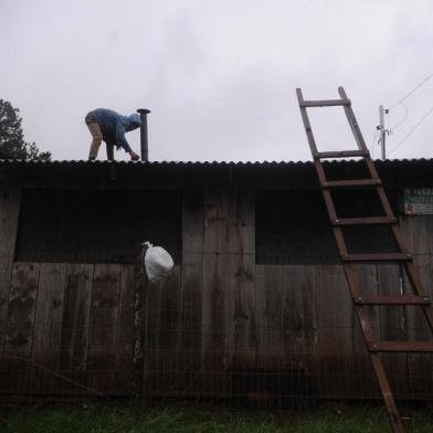  VACARIA, RS, BRASIL, 30/06/2020 - Ventos de 90 Km por hora causa destruição em Vacaria e Muitos Capões. Queda de árvores, destelhamento de casas, e árvores que caíram em residências. (Marcelo Casagrande/Agência RBS)<!-- NICAID(14535504) -->