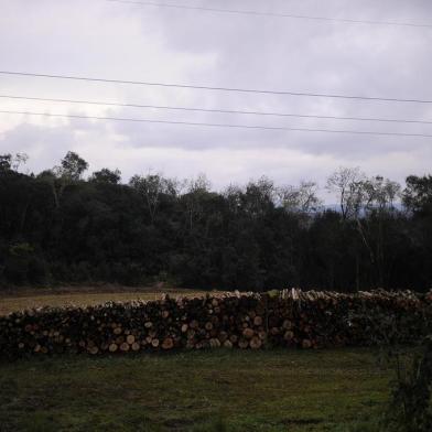  CAXIAS DO SUL, RS, BRASIL, 01/07/2019 - Previsão de frio intenso e possibilidade de neve na Serra Gaúcha. (Marcelo Casagrande/Agência RBS)<!-- NICAID(14145851) -->