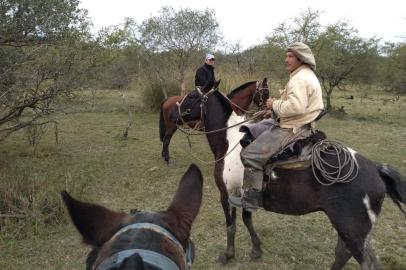 Com nuvem de gafanhotos em local de difícil acesso, fiscais argentinos fazem monitoramento a cavalo.<!-- NICAID(14538347) -->