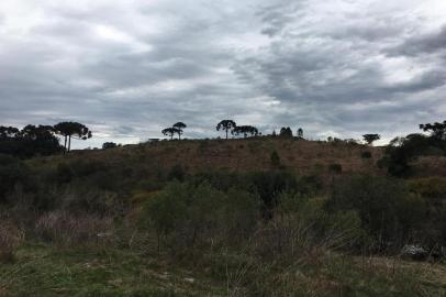 Incêndio atinge área de preservação do sistema Marrecas, em Caxias do Sul<!-- NICAID(14546312) -->