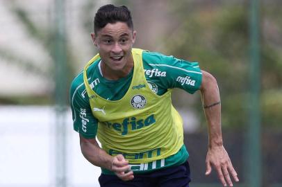  O jogador Diogo Barbosa, da SE Palmeiras, durante treinamento, no CT.Indexador: Cesar Greco