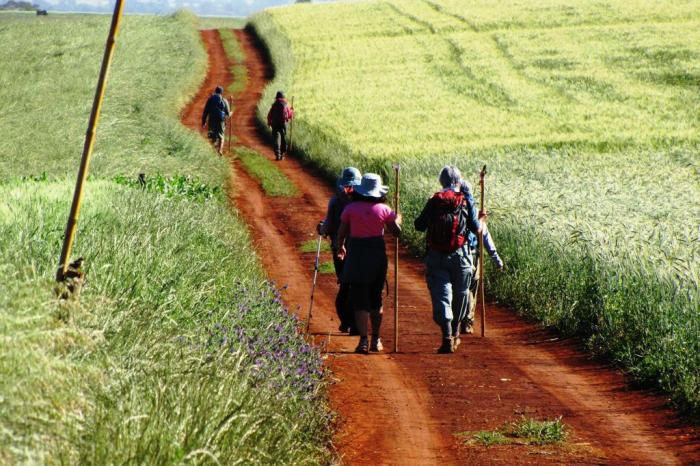 Caminho das Missões / Divulgação