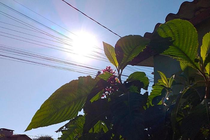 Previsão do tempo para Erechim (RS): Veja temperaturas do dia