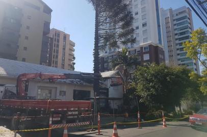  Localizado na Rua Pedro Ivo, no bairro Mont'Serrat, na zona norte de Porto Alegre, o pinheiro que antes ocupava parte do deck de uma loja comercial foi removido na quarta-feira (5). No começo do ano, as pinhas que caiam do vegetal alcançaram dois quilos e chegaram a atingir um carro no local. A decisão pela retirada foi dos proprietárias do espaço onde ficava o pinheiro.Uma das donas do estabelecimento, Ivânia Walter, 64 anos, afirma que o vegetal era mantido com carinho pela família, mas ameaçava a segurança de quem passa pela calçada, entre as ruas Pedro Chaves Barcelos e Comendador Rheingantz.<!-- NICAID(14562401) -->