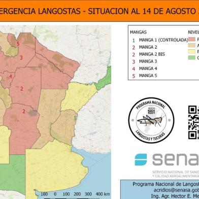 Novo mapa divulgado pelo Serviço Nacional de Sanidade e Qualidade Agrolimentar (Senasa) da Argentina mostra situação das nuvens de gafanhotos no país.<!-- NICAID(14569128) -->